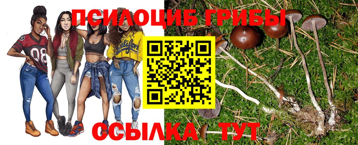 Галлюциногенные грибы ЛСД  Галлюциногенные грибы ЛСД  Дубна 