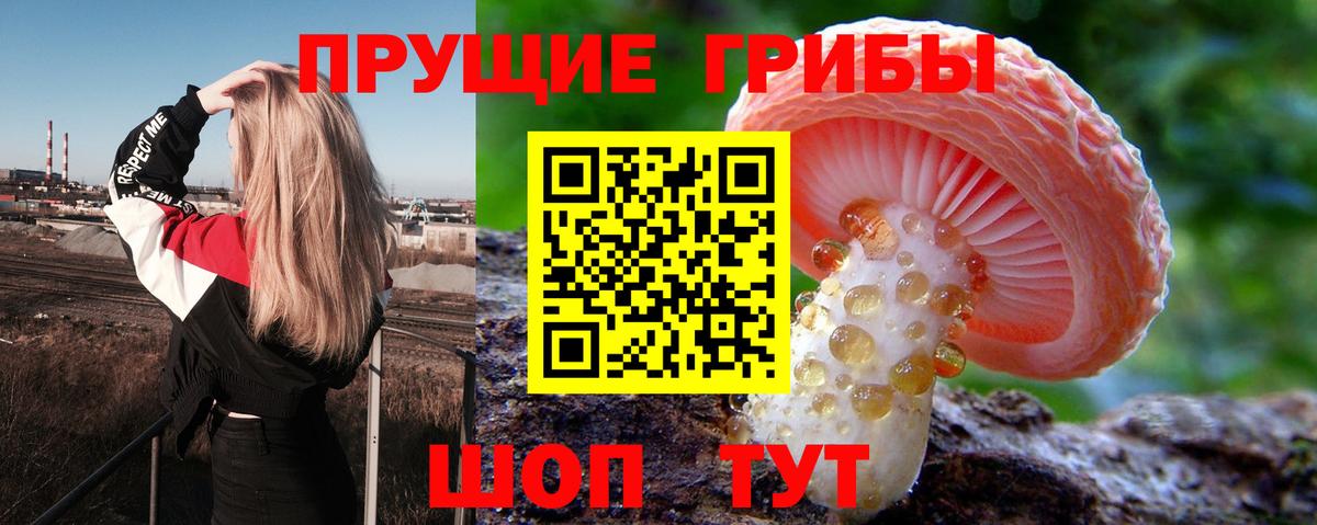 Галлюциногенные грибы MAGIC MUSHROOMS Дубна