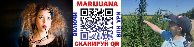 Каннабис индика  Дубна 