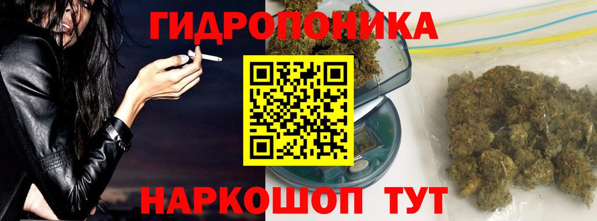 Конопля планчик  Канабис OG Kush  Конопля марихуана  Вход с VPN  Дубна 